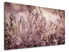 Ζωγραφική τοίχου FLOWERS KV066E11