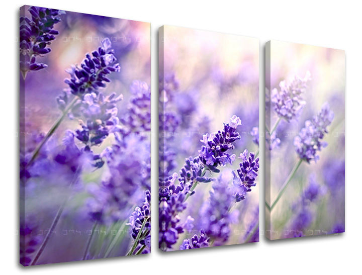 Τοιχογραφία 3 τμημάτων FLOWERS KV070E30