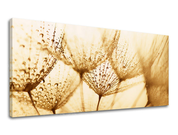 Ζωγραφική τοίχου PANORAMA FLOWERS KV071E13