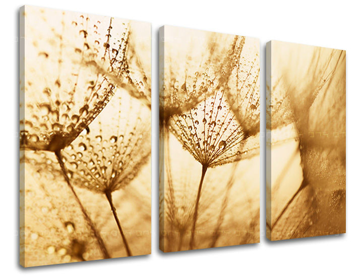 Τοιχογραφία 3 τμημάτων FLOWERS KV071E30