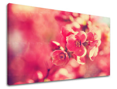 Ζωγραφική τοίχου FLOWERS KV072E11