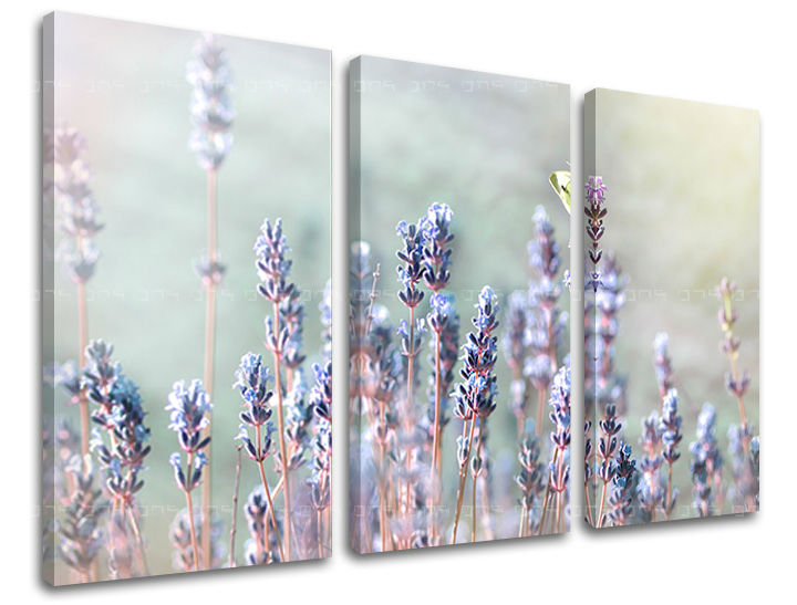 Τοιχογραφία 3 τμημάτων FLOWERS KV077E30