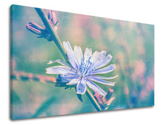 Ζωγραφική τοίχου FLOWERS KV078E11