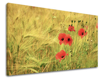 Ζωγραφική τοίχου ΛΟΥΛΟΥΔΙΑ KV080E11