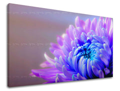 Ζωγραφική τοίχου FLOWERS KV081E11