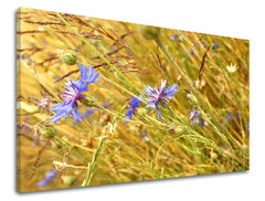 Ζωγραφική τοίχου FLOWERS KV082E11