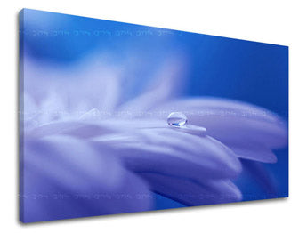Ζωγραφική τοίχου FLOWERS KV087E11