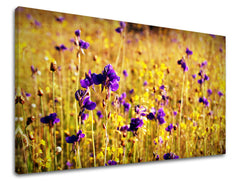Ζωγραφική τοίχου FLOWERS KV088E11