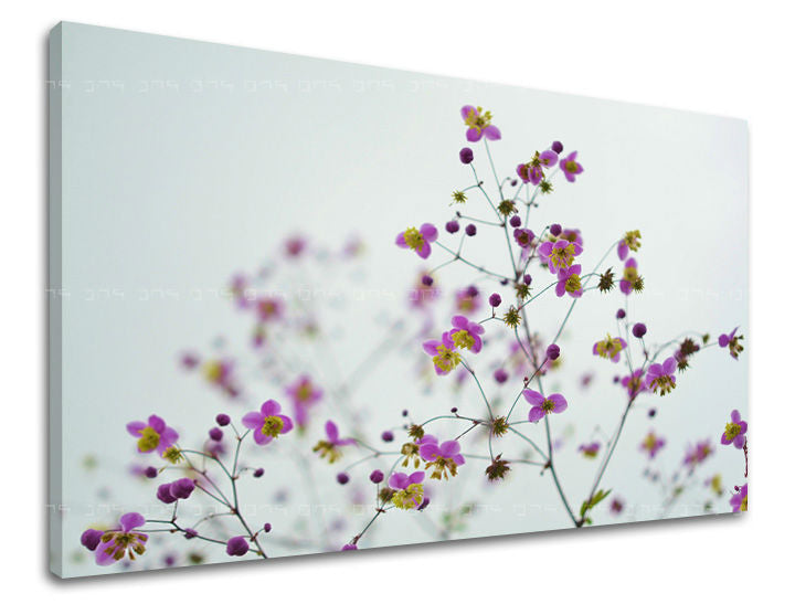 Ζωγραφική τοίχου FLOWERS KV089E11