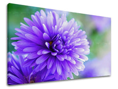 Ζωγραφική τοίχου FLOWERS KV090E11