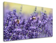 Ζωγραφική τοίχου FLOWERS KV091E11