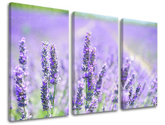 Τοιχογραφία 3 τμημάτων FLOWERS KV092E30