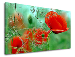 Ζωγραφική τοίχου FLOWERS MAKY KV094E11