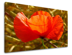 Ζωγραφική τοίχου FLOWERS MAKY KV096E11