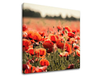 Ζωγραφική τοίχου FLOWERS KV097E12