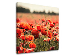 Ζωγραφική τοίχου FLOWERS KV097E12