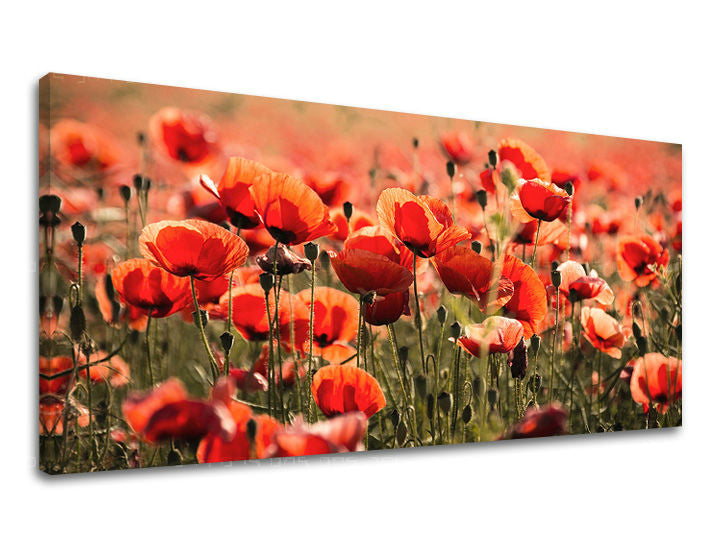 Ζωγραφική τοίχου PANORAMA FLOWERS KV097E13