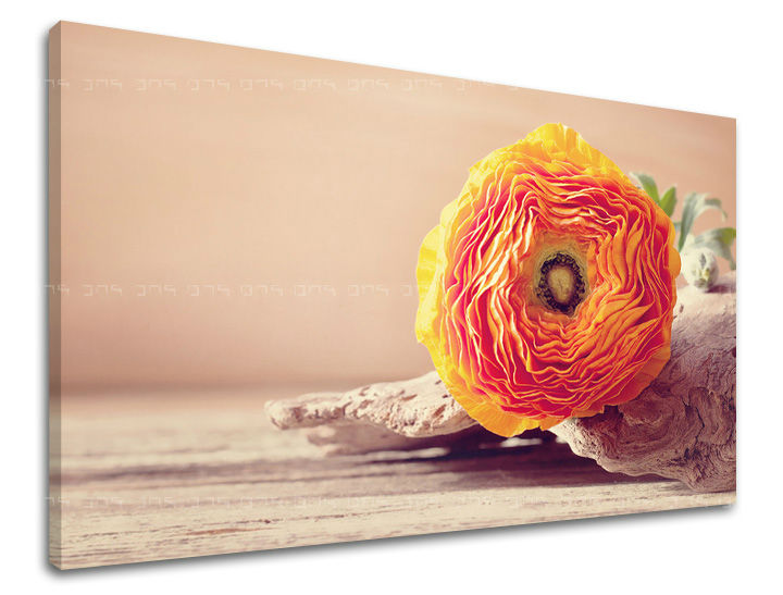 Ζωγραφική τοίχου FLOWERS KV098E11