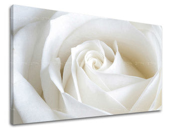 Ζωγραφική τοίχου FLOWERS OF ROSES XOBKV103E11
