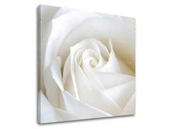 Ζωγραφική τοίχου FLOWERS XOBKV103E12