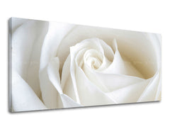 Ζωγραφική τοίχου Πανόραμα FLOWERS XOBKV103E13