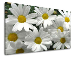 Ζωγραφική τοίχου FLOWERS XOBKV106E11