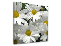 Ζωγραφική τοίχου FLOWERS XOBKV106E12