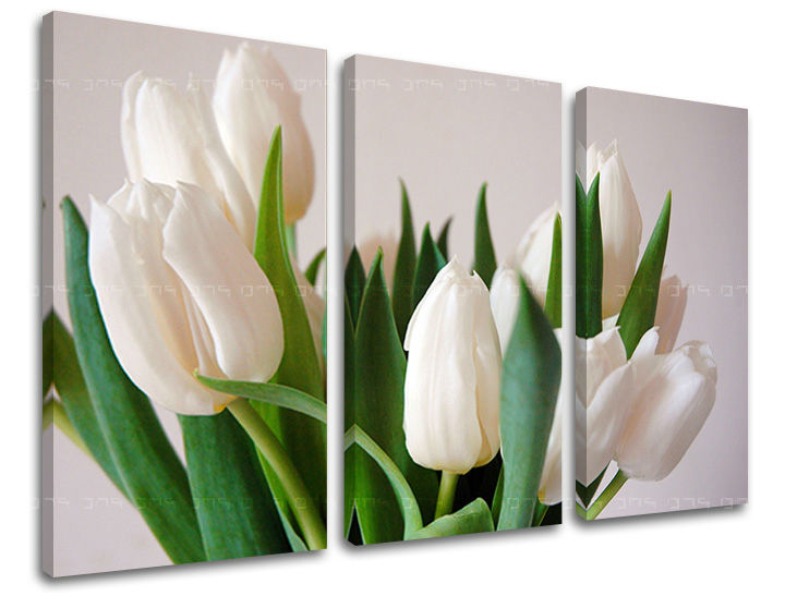 Τοιχογραφία 3 τμημάτων FLOWERS XOBKV108E30