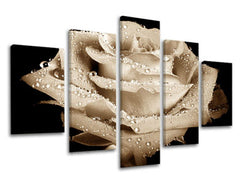 Ζωγραφική τοίχου 5 τμημάτων FLOWERS XOBKV109E50