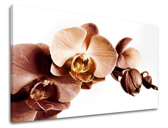 Ζωγραφική τοίχου FLOWERS XOBKV110E11