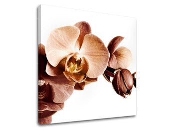 Ζωγραφική τοίχου FLOWERS XOBKV110E12