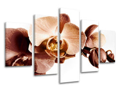 Ζωγραφική τοίχου 5 τμημάτων FLOWERS XOBKV110E50