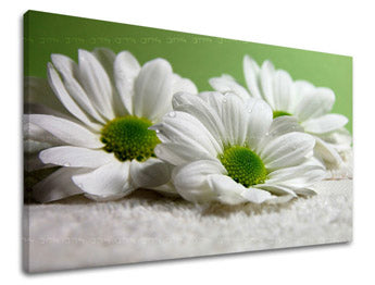 Ζωγραφική τοίχου FLOWERS XOBKV111E11