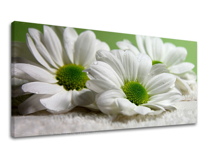 Ζωγραφική τοίχου Πανόραμα ΛΟΥΛΟΥΔΙΑ XOBKV111E13