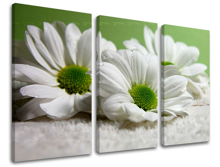 Τοιχογραφία 3 τμημάτων FLOWERS XOBKV111E30