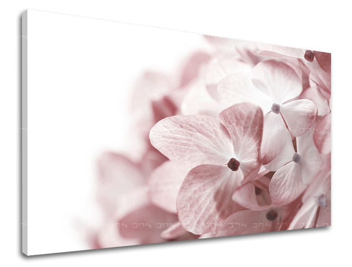 Ζωγραφική τοίχου FLOWERS XOBKV114E11
