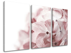 Τοιχογραφία 3 τμημάτων FLOWERS XOBKV114E30