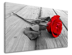 Ζωγραφική τοίχου FLOWERS OF ROSES XOBKV115E11