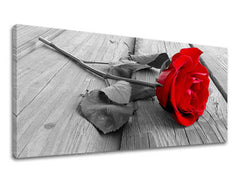 Ζωγραφική τοίχου Πανόραμα ΛΟΥΛΟΥΔΙΑ XOBKV115E13