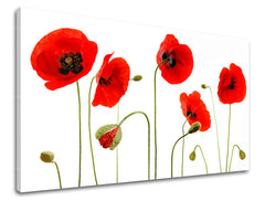 Ζωγραφική τοίχου FLOWERS MAKY XOBKV117E11