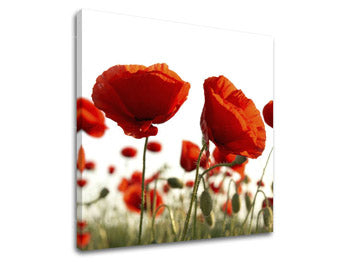 Ζωγραφική τοίχου FLOWERS XOBKV118E12