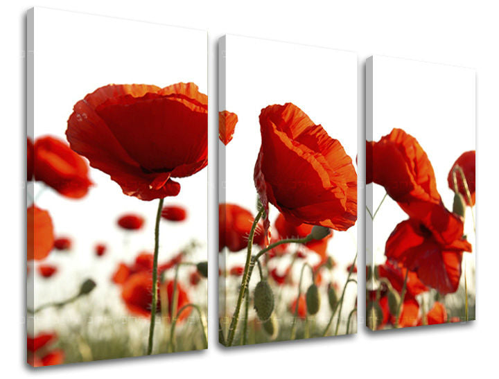 Τοιχογραφία 3 τμημάτων FLOWERS XOBKV118E30