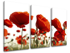 Τοιχογραφία 3 τμημάτων FLOWERS XOBKV118E30