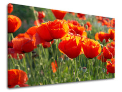 Ζωγραφική τοίχου FLOWERS MAKY XOBKV119E11