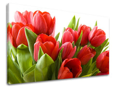 Ζωγραφική τοίχου FLOWERS TULIPANS XOBKV120E11