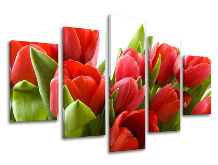Ζωγραφική τοίχου 5 τμημάτων FLOWERS XOBKV120E50
