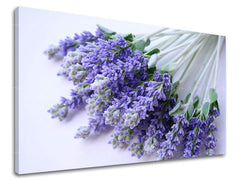 Ζωγραφική τοίχου FLOWERS XOBKV122E11