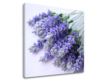 Ζωγραφική τοίχου FLOWERS XOBKV122E12