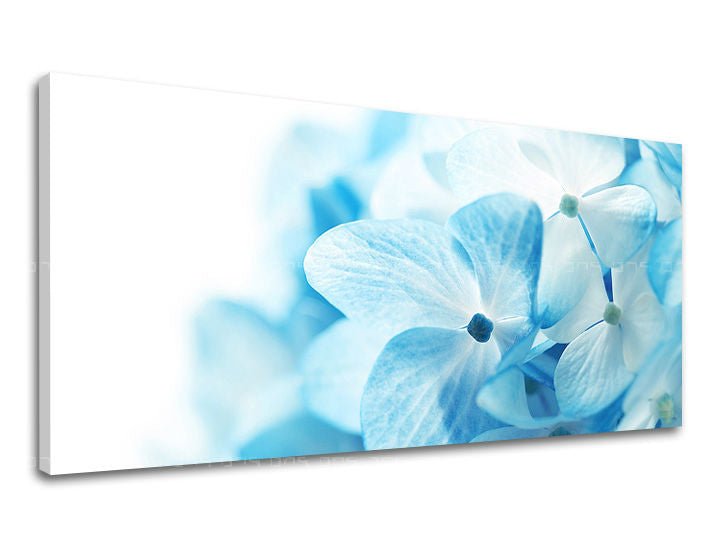 Ζωγραφική τοίχου Πανόραμα ΛΟΥΛΟΥΔΙΑ XOBKV127E13