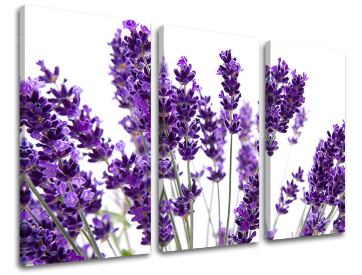 Τοιχογραφία 3 τμημάτων FLOWERS XOBKV128E30